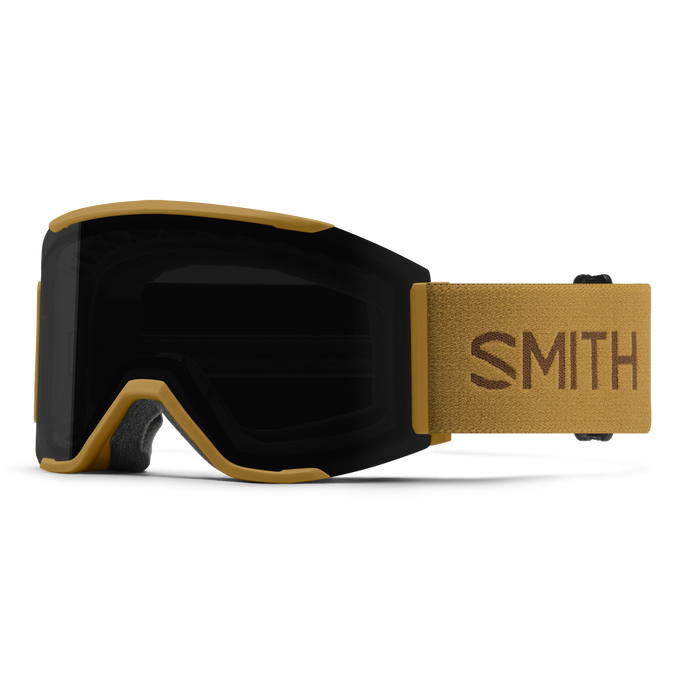 This looks like a really great Smith ski goggle
