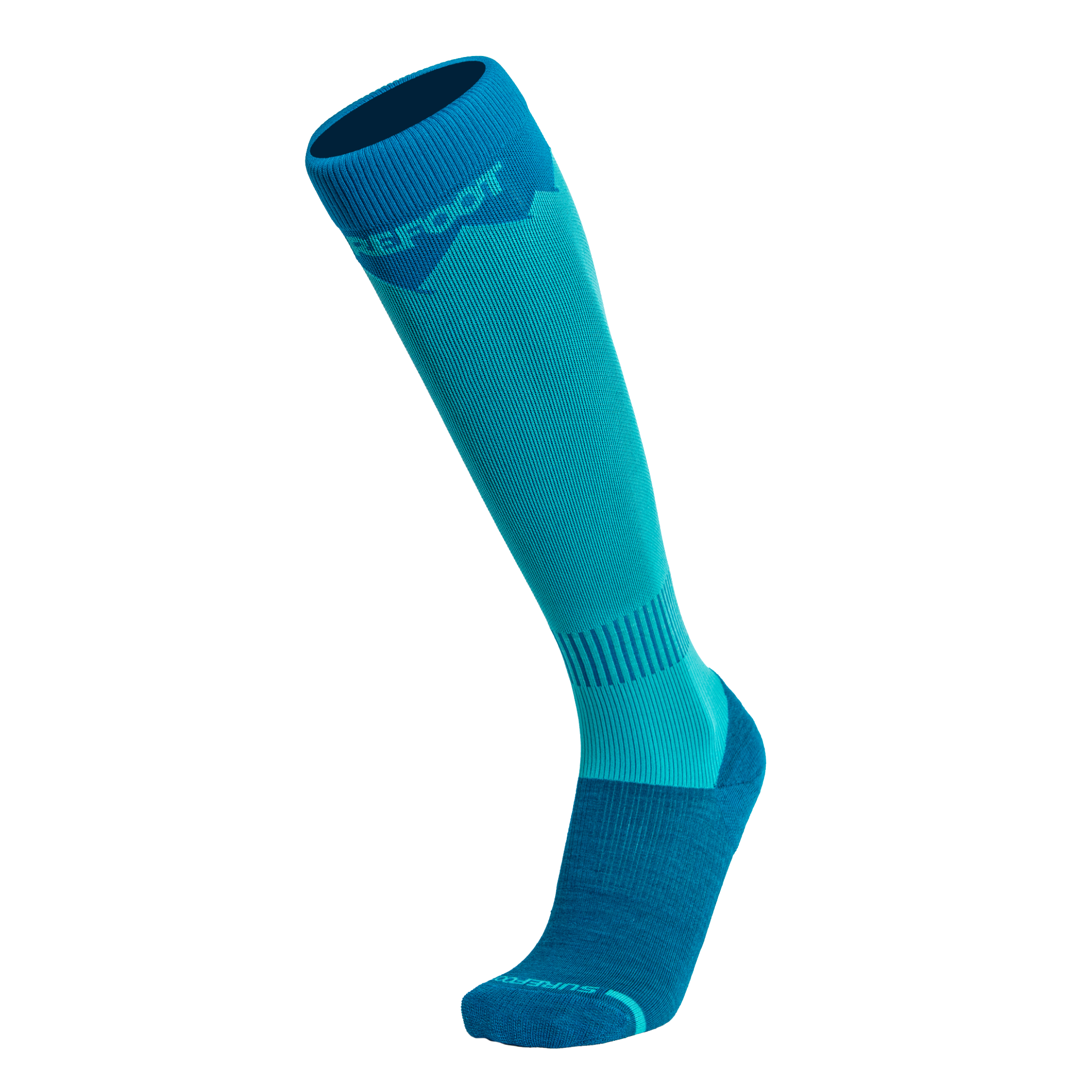 This womwn's ski boot has a 2 tone look in a teal colorway.